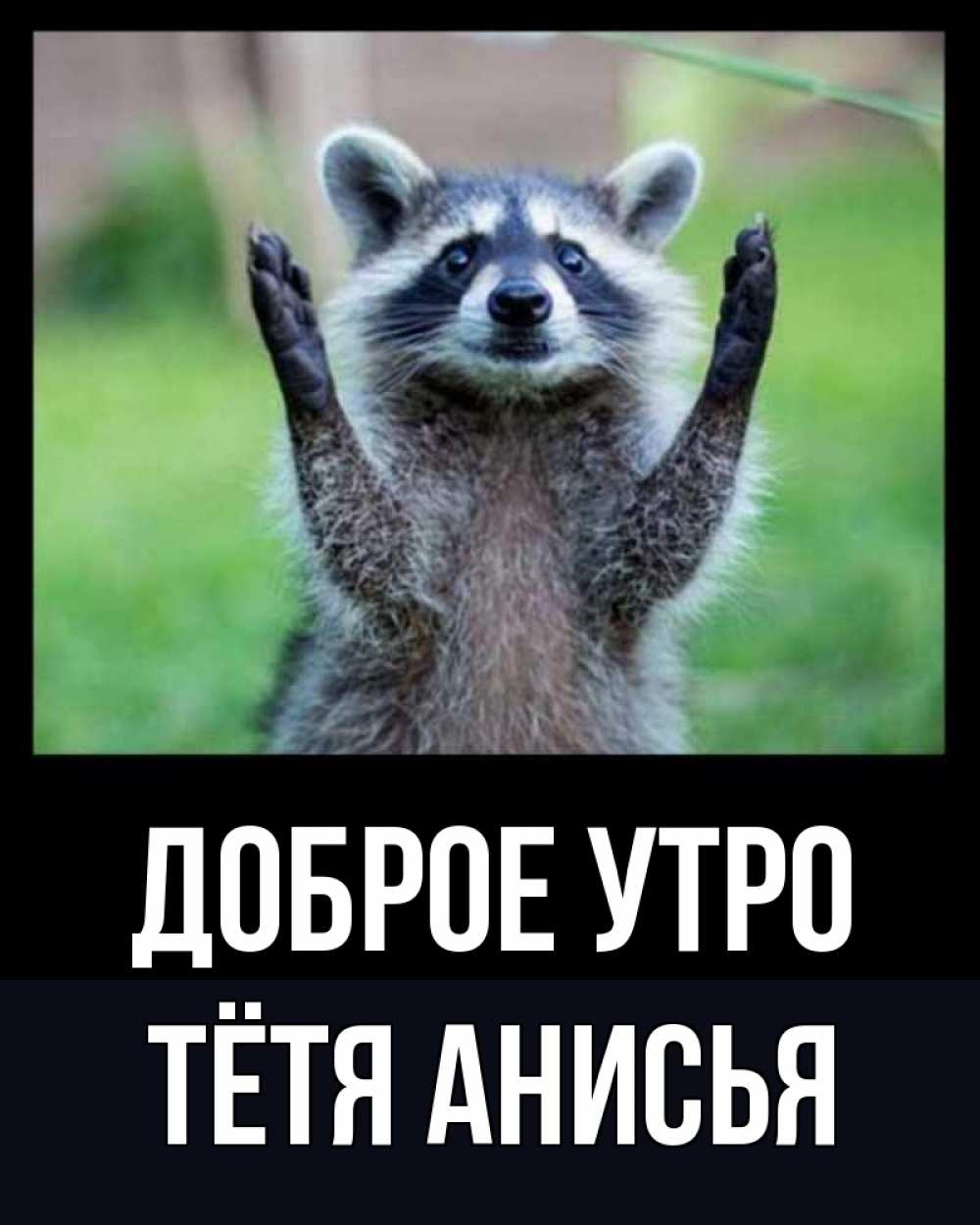 Открытка на каждый день с именем, Тётя-Анисья Доброе утро хорошее настроение утречком Прикольная открытка с пожеланием онлайн скачать бесплатно 