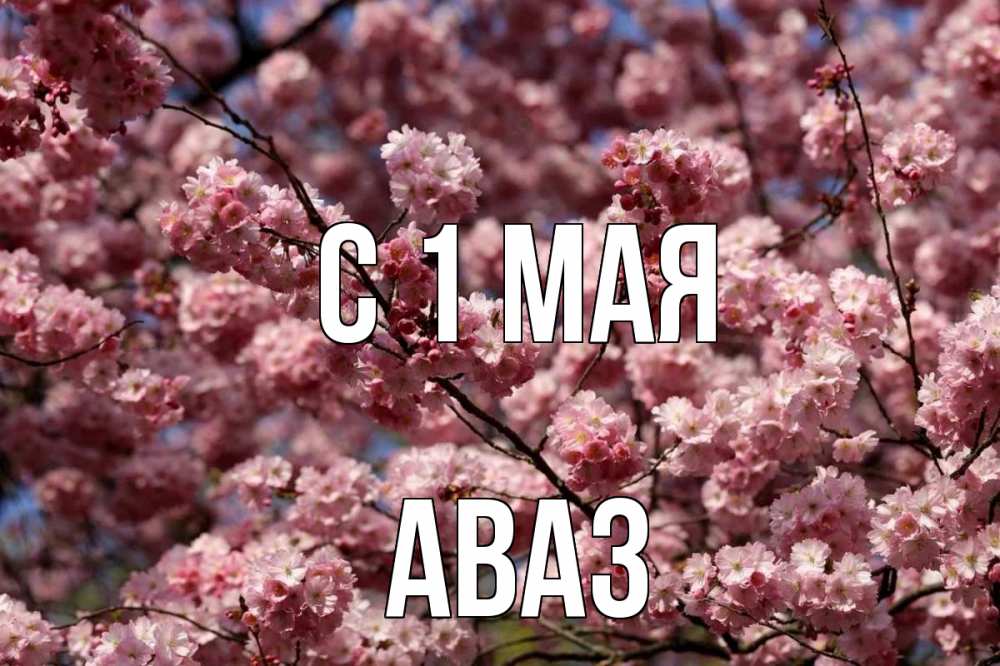 Открытка на каждый день с именем, Аваз С 1 мая С 1 мая Прикольная открытка с пожеланием онлайн скачать бесплатно 