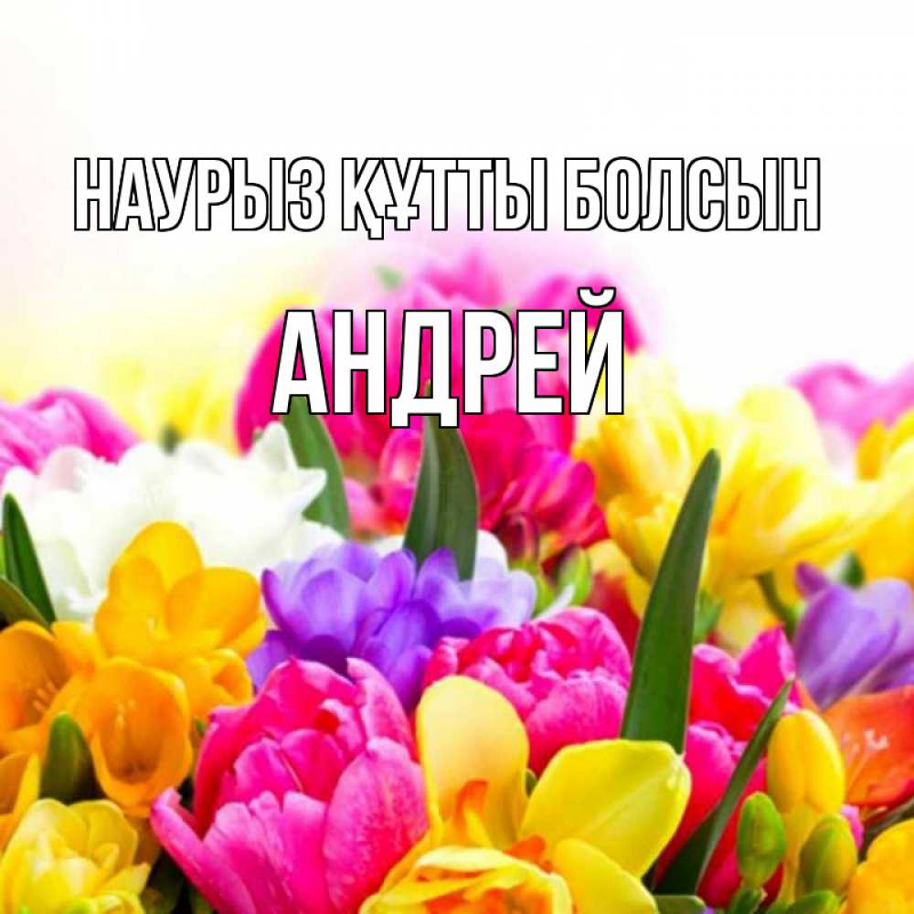 Открытка на каждый день с именем, Андрей Наурыз құтты болсын тюльпаны Прикольная открытка с пожеланием онлайн скачать бесплатно 
