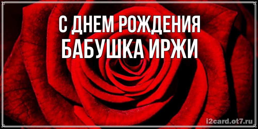 Открытка на каждый день с именем, Бабушка-Иржи С днем рождения алая роза Прикольная открытка с пожеланием онлайн скачать бесплатно 