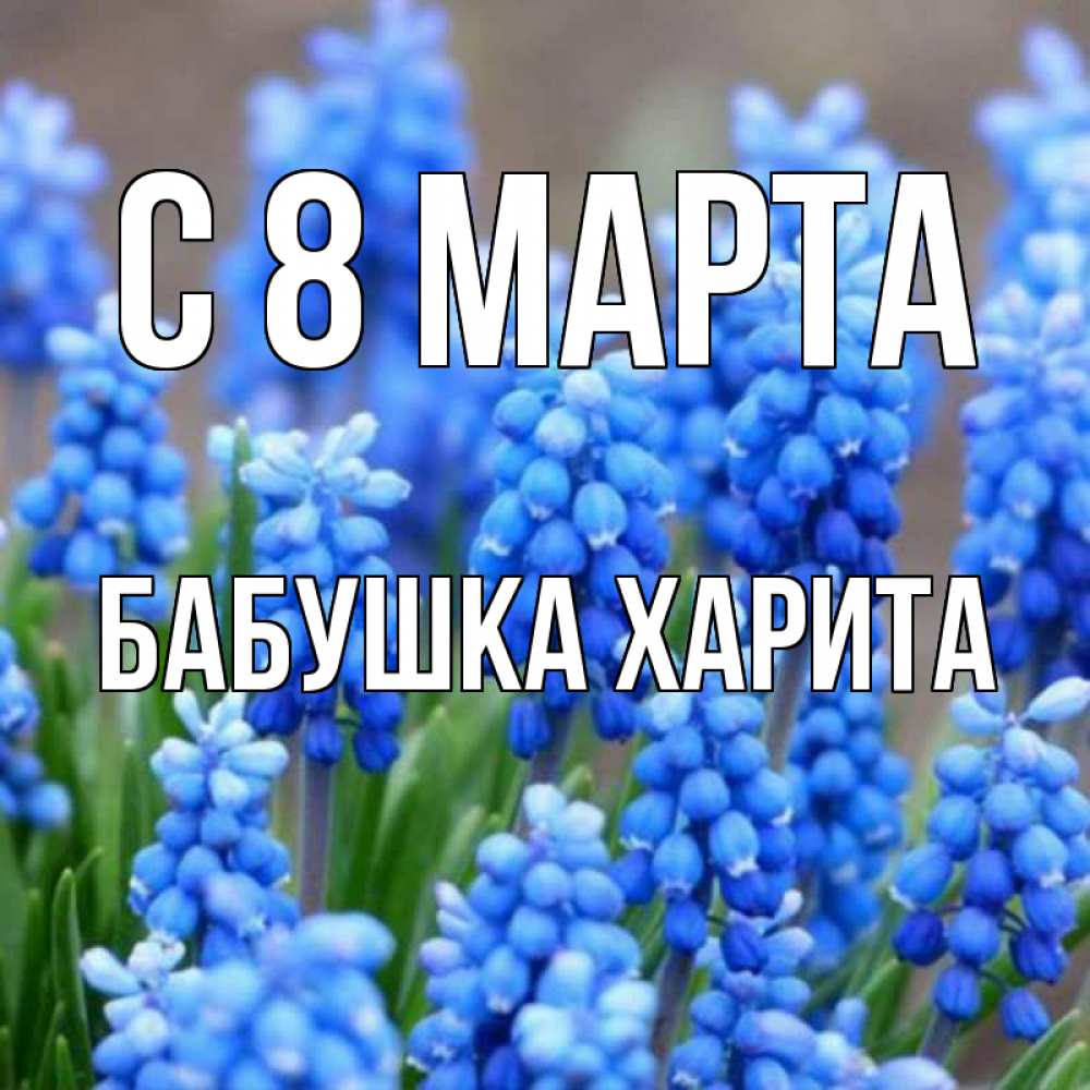 Открытка на каждый день с именем, Бабушка-Харита С 8 МАРТА Поздравительная открытка для женщин с цветами на праздничную дату Прикольная открытка с пожеланием онлайн скачать бесплатно 