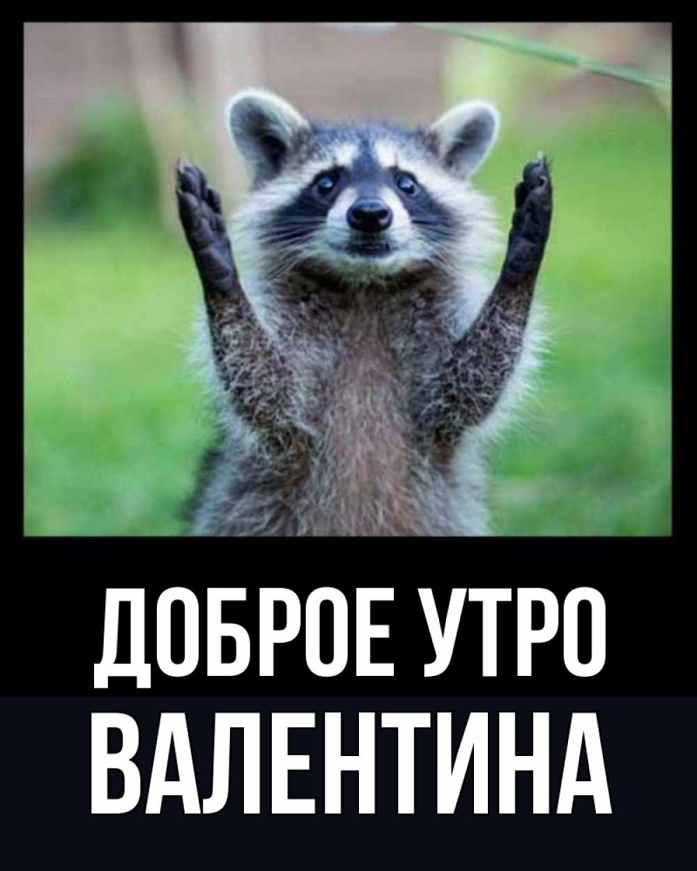 Открытка на каждый день с именем, Валентина Доброе утро хорошее настроение утречком Прикольная открытка с пожеланием онлайн скачать бесплатно 