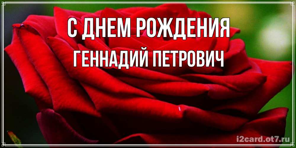 Открытка на каждый день с именем, Геннадий-Петрович С днем рождения розочка очень красивая Прикольная открытка с пожеланием онлайн скачать бесплатно 