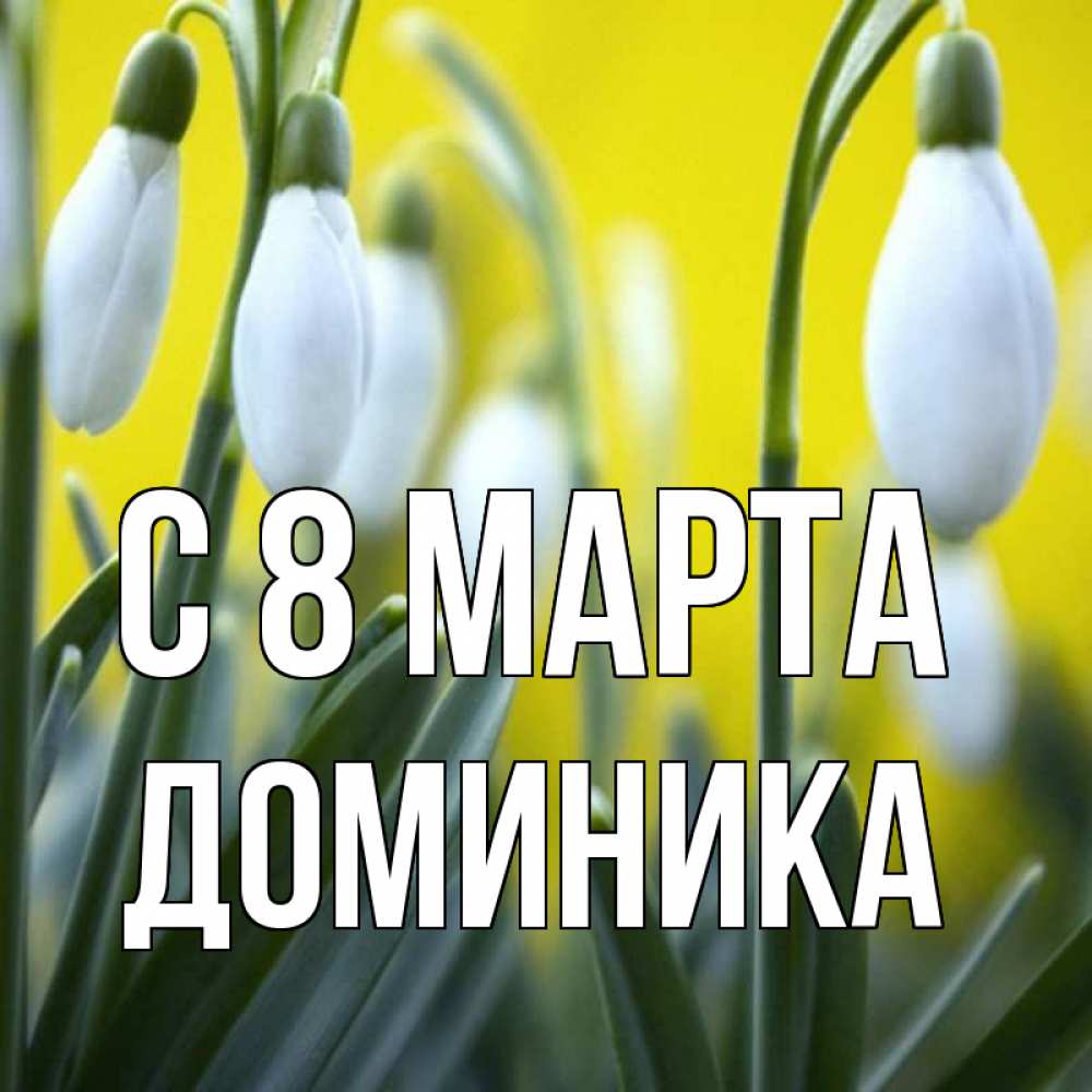 Открытка на каждый день с именем, Доминика С 8 МАРТА весенние цветы Прикольная открытка с пожеланием онлайн скачать бесплатно 