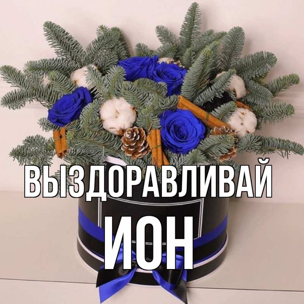 Открытка на каждый день с именем, Ион Выздоравливай короче кто то загрузил эти шишки Прикольная открытка с пожеланием онлайн скачать бесплатно 