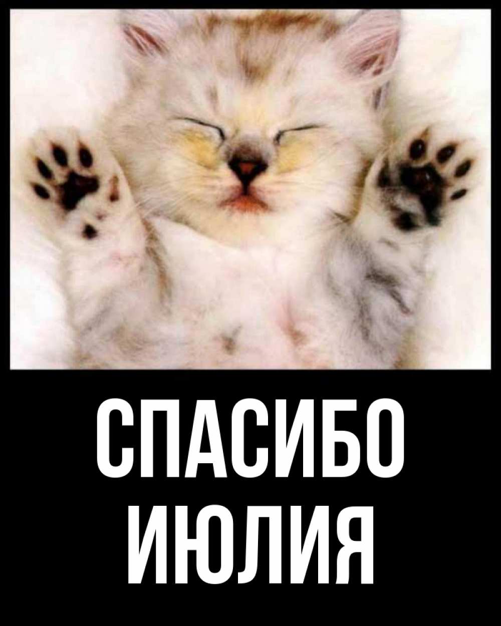 Открытка на каждый день с именем, Июлия Спасибо маленький котенок Прикольная открытка с пожеланием онлайн скачать бесплатно 