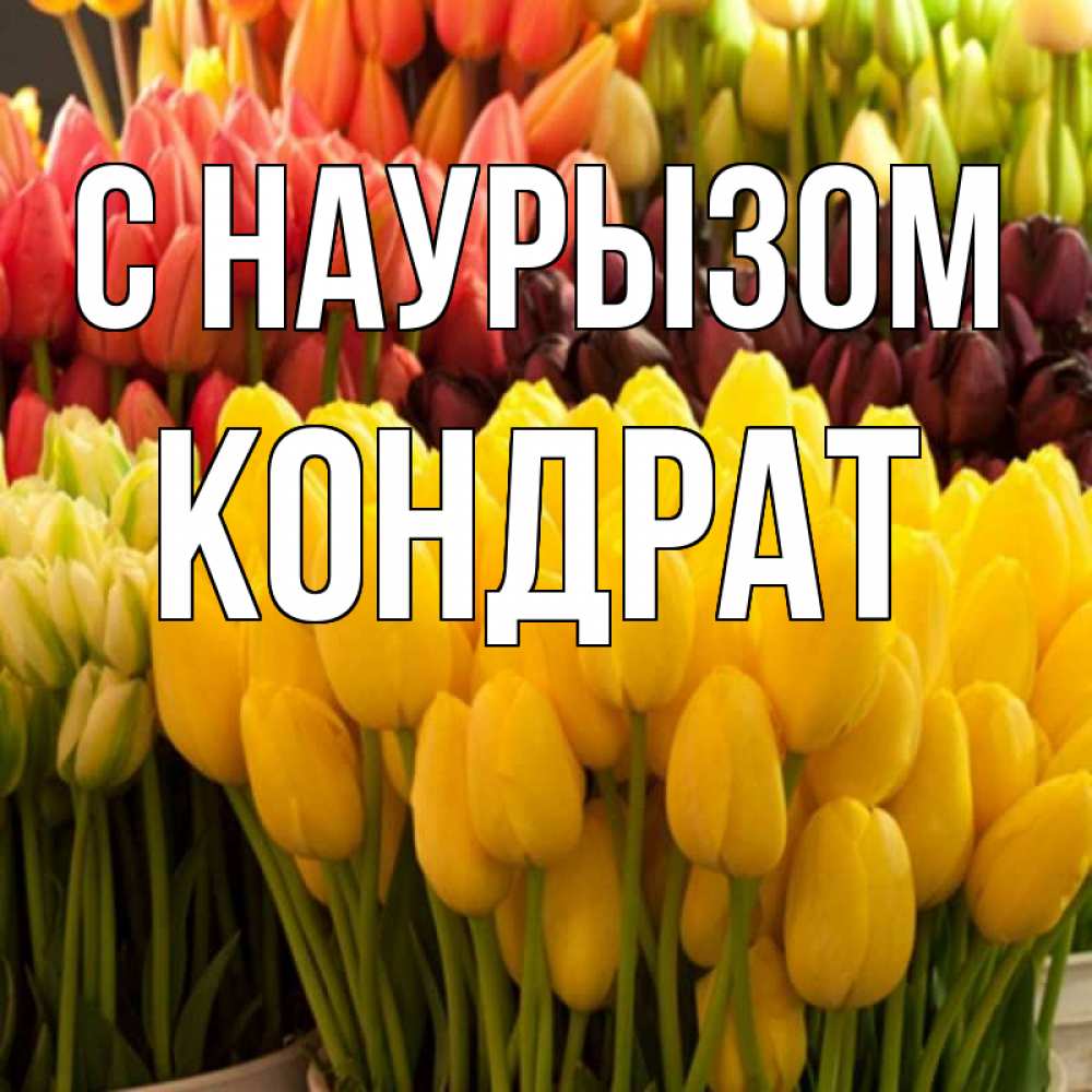 Открытка на каждый день с именем, Кондрат С наурызом цветы Прикольная открытка с пожеланием онлайн скачать бесплатно 