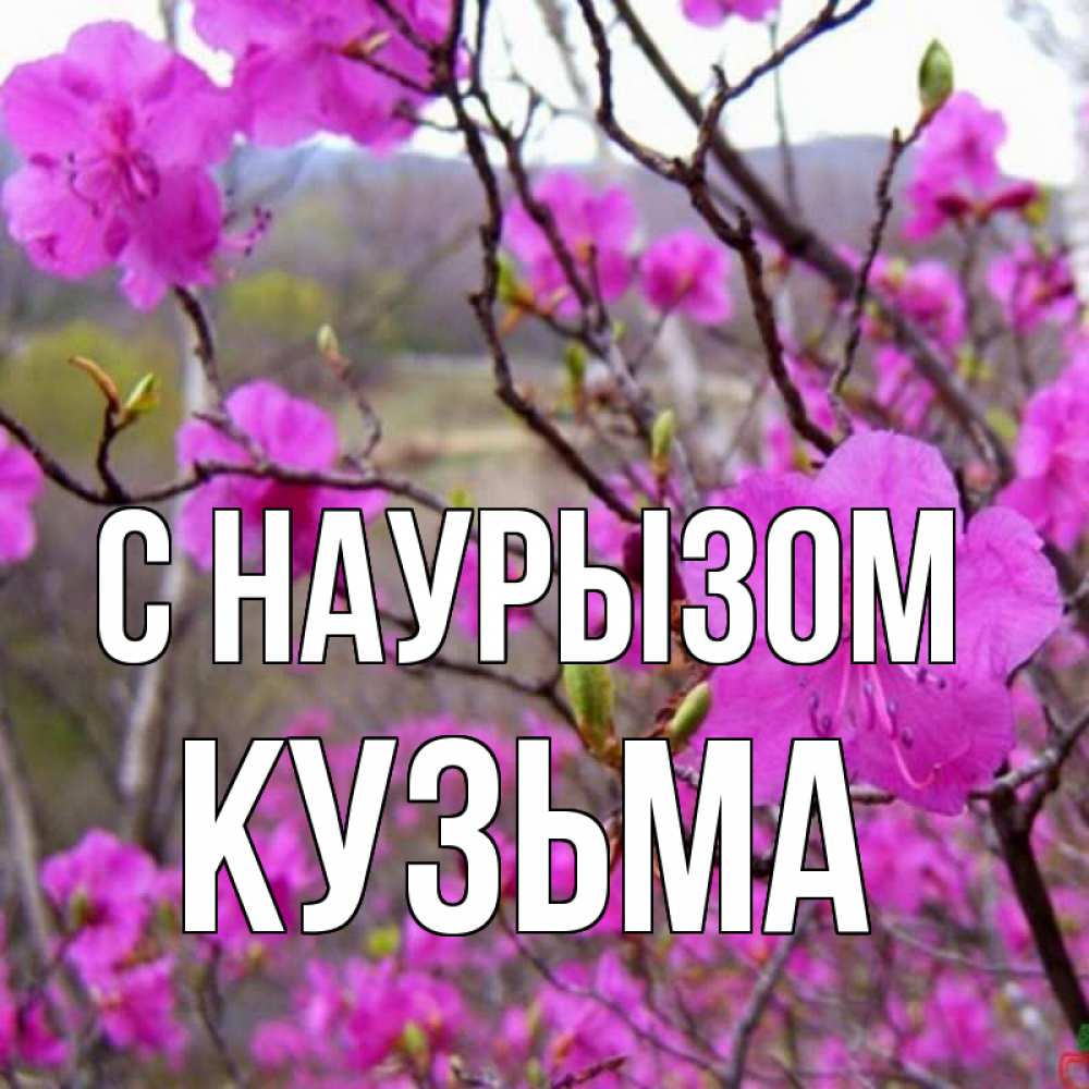 Открытка на каждый день с именем, Кузьма С наурызом праздник весны наурыз Прикольная открытка с пожеланием онлайн скачать бесплатно 