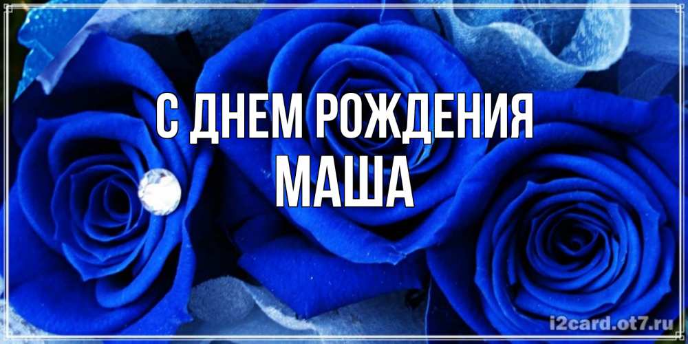 Открытка на каждый день с именем, МАША С днем рождения синие розы в росе Прикольная открытка с пожеланием онлайн скачать бесплатно 