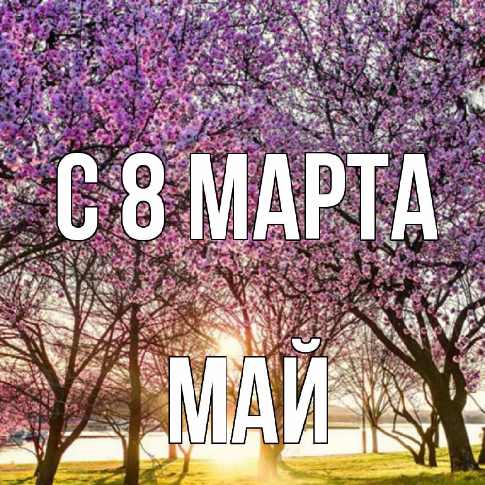 Открытка на каждый день с именем, Май С 8 МАРТА международный женский день Прикольная открытка с пожеланием онлайн скачать бесплатно 