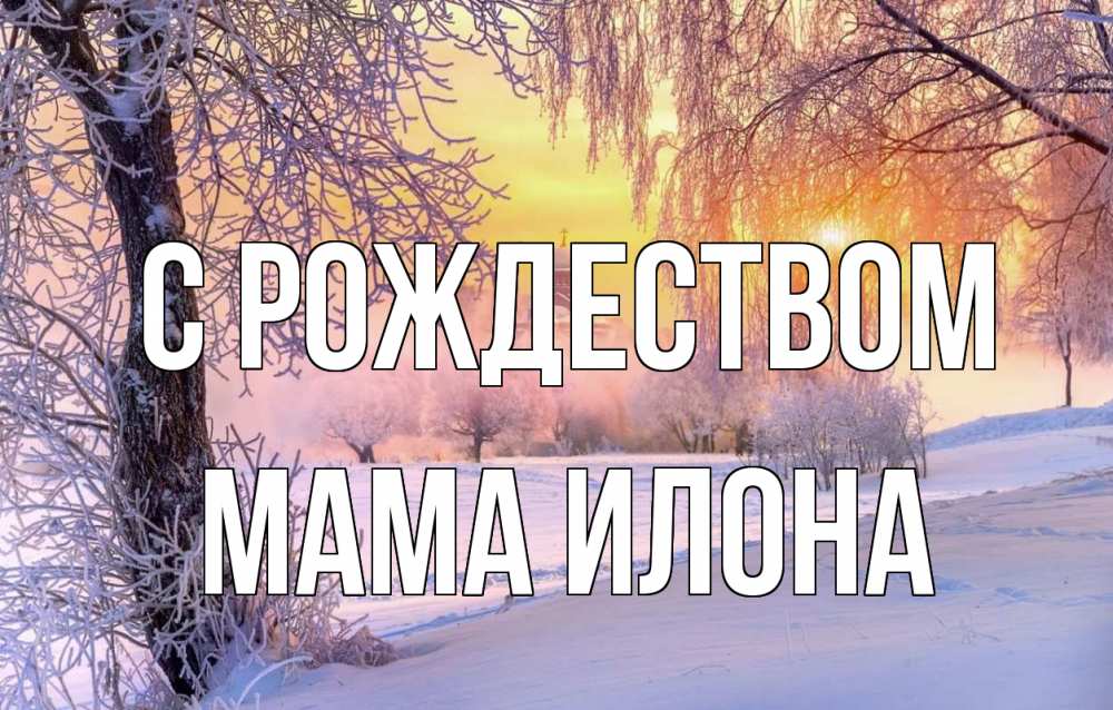Открытка на каждый день с именем, Мама-Илона С рождеством рождество, лес, зима 1 Прикольная открытка с пожеланием онлайн скачать бесплатно 