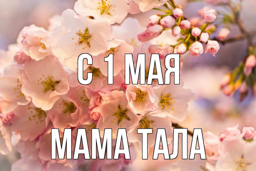 Открытка на каждый день с именем, Мама-Тала С 1 мая С 1 мая Прикольная открытка с пожеланием онлайн скачать бесплатно 