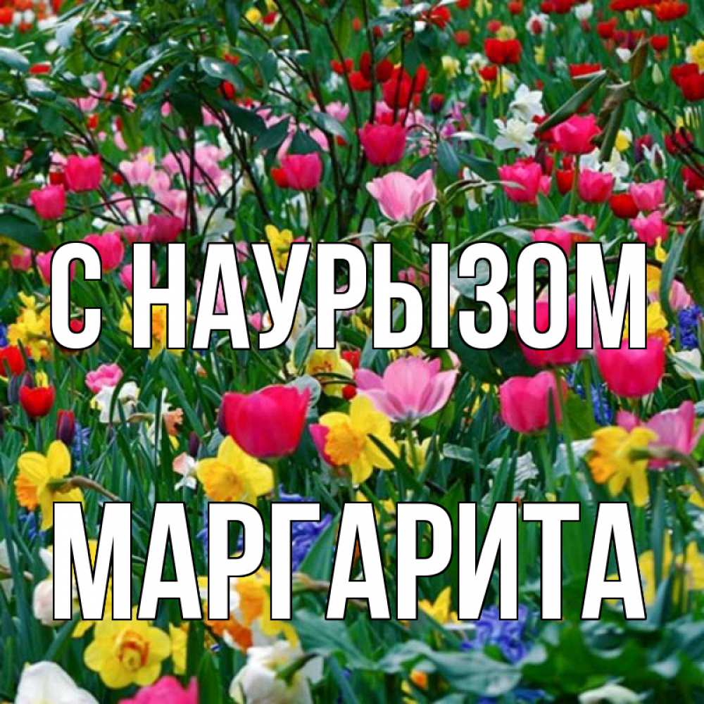 Открытка на каждый день с именем, Маргарита С наурызом с наурызом праздником весны поздравления для женщины Прикольная открытка с пожеланием онлайн скачать бесплатно 