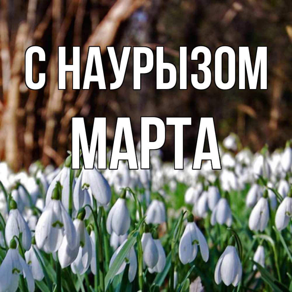 Открытка на каждый день с именем, Марта С наурызом с подснежниками 1 Прикольная открытка с пожеланием онлайн скачать бесплатно 