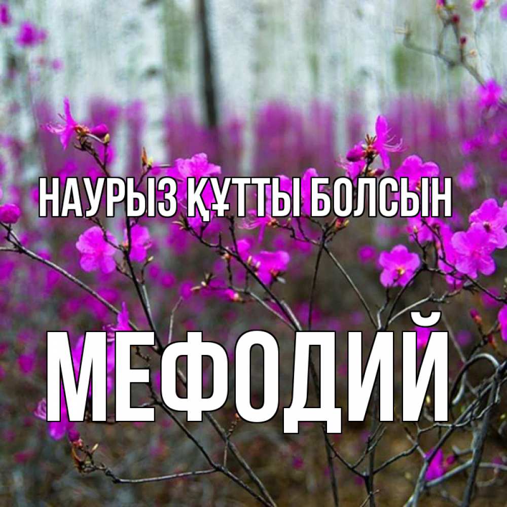 Открытка на каждый день с именем, Мефодий Наурыз құтты болсын дикие цветы Прикольная открытка с пожеланием онлайн скачать бесплатно 