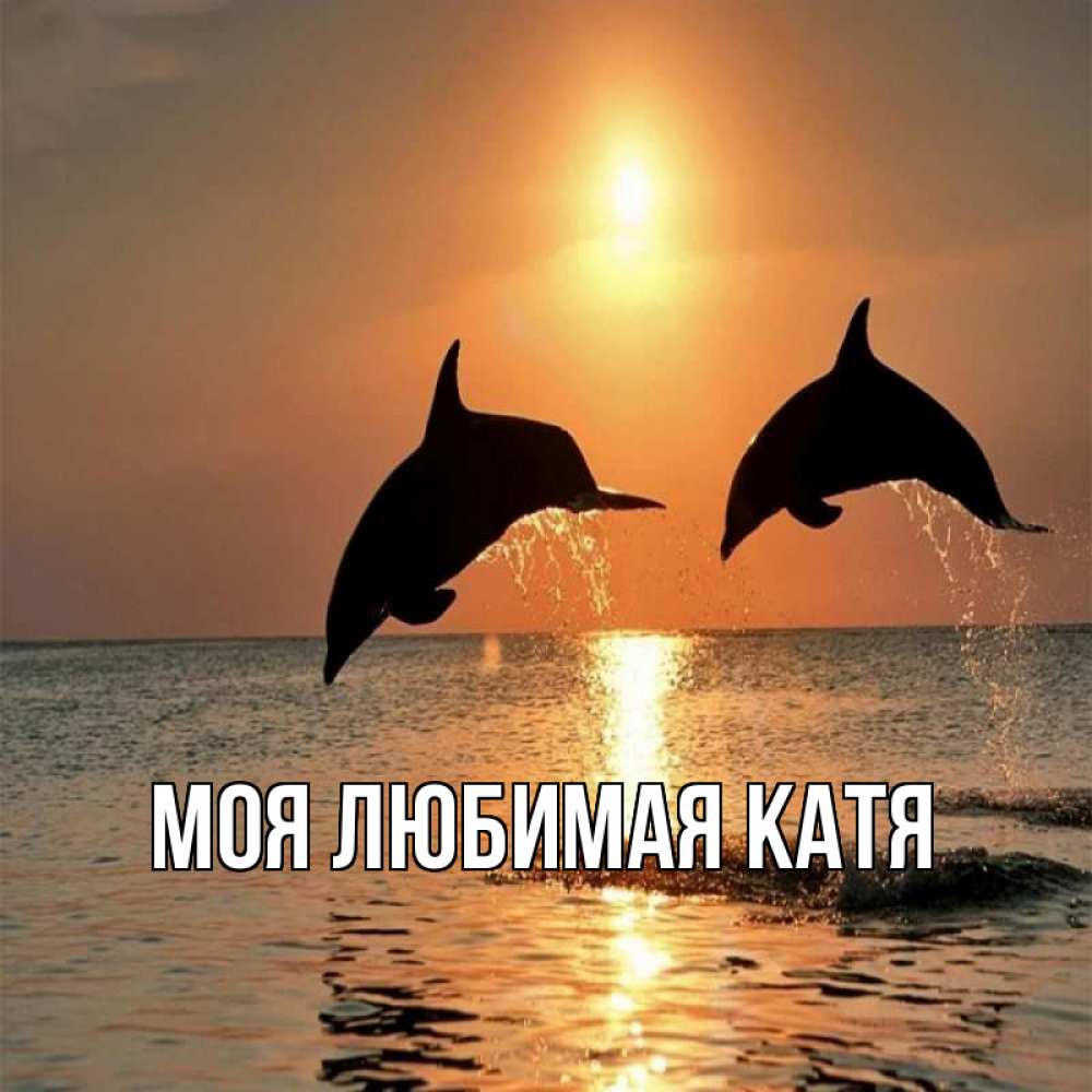Открытка на каждый день с именем, Моя-любимая-Катя Главная рыбы на закате Прикольная открытка с пожеланием онлайн скачать бесплатно 