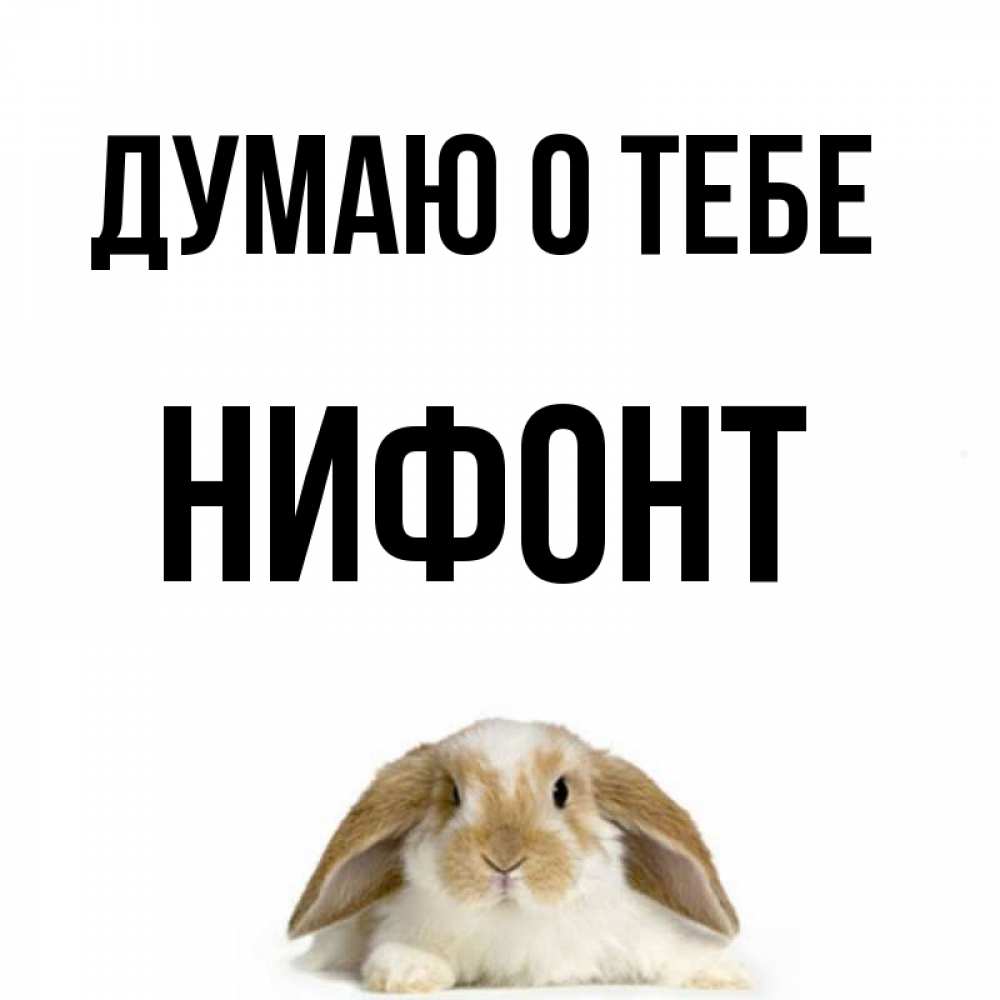 Открытка на каждый день с именем, Нифонт Думаю о тебе подписать своими руками онлайн Прикольная открытка с пожеланием онлайн скачать бесплатно 