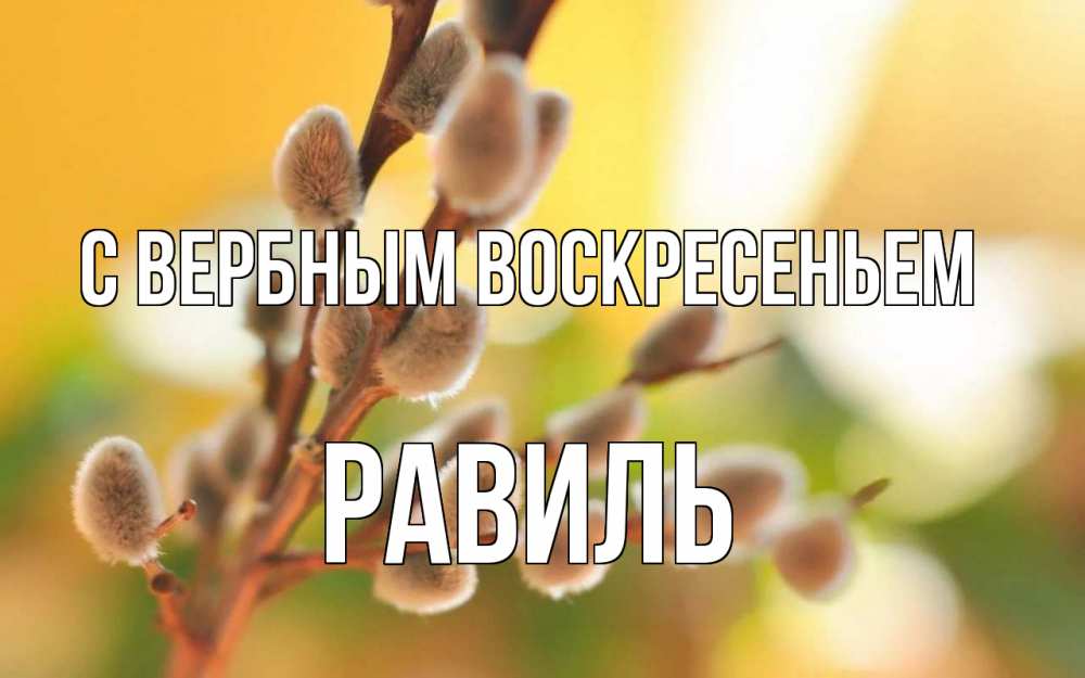 Открытка на каждый день с именем, Равиль С вербным воскресеньем верба Прикольная открытка с пожеланием онлайн скачать бесплатно 