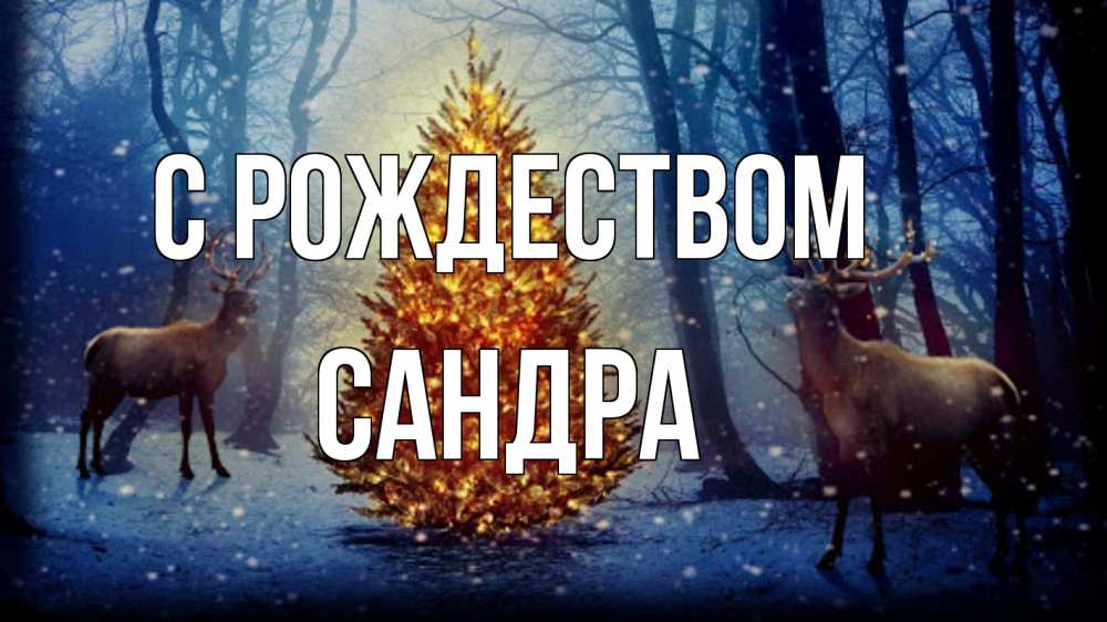 Открытка на каждый день с именем, Сандра С рождеством олени, новогодняя елка Прикольная открытка с пожеланием онлайн скачать бесплатно 
