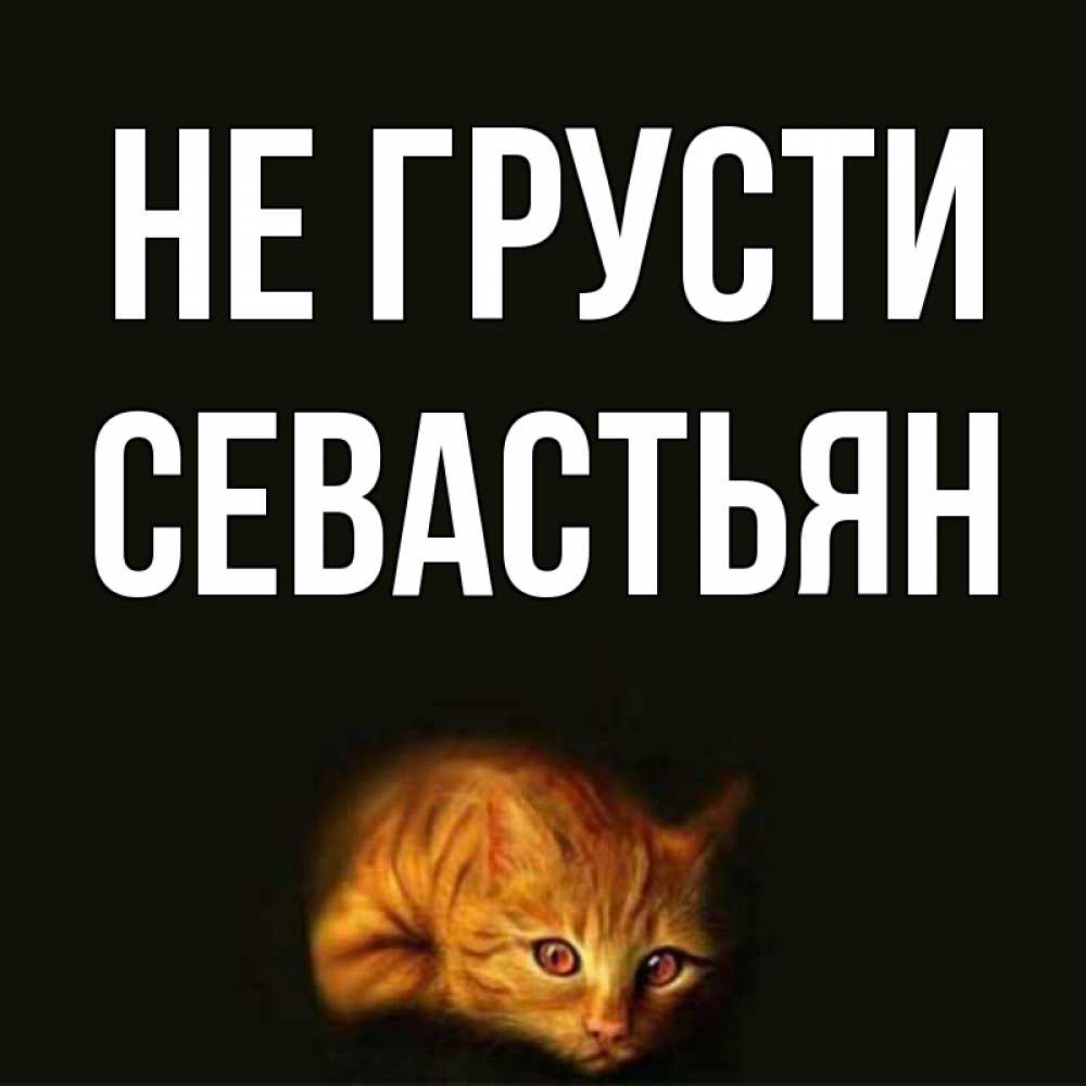 Открытка на каждый день с именем, Севастьян Не грусти лежащий кот в темноте Прикольная открытка с пожеланием онлайн скачать бесплатно 