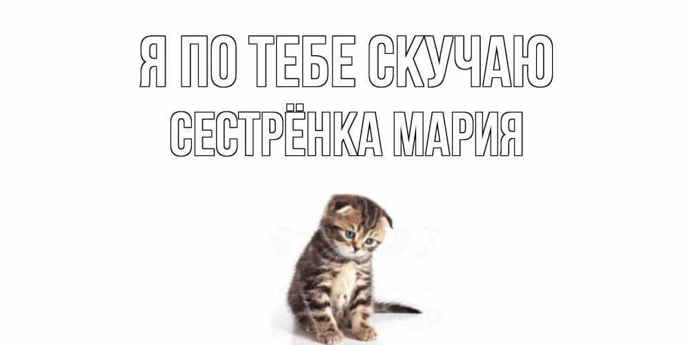 Открытка на каждый день с именем, Сестрёнка-Мария Я по тебе скучаю кот Прикольная открытка с пожеланием онлайн скачать бесплатно 