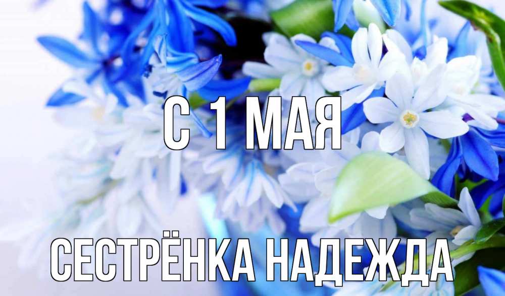 Открытка на каждый день с именем, Сестрёнка-Надежда С 1 мая С 1 мая Прикольная открытка с пожеланием онлайн скачать бесплатно 