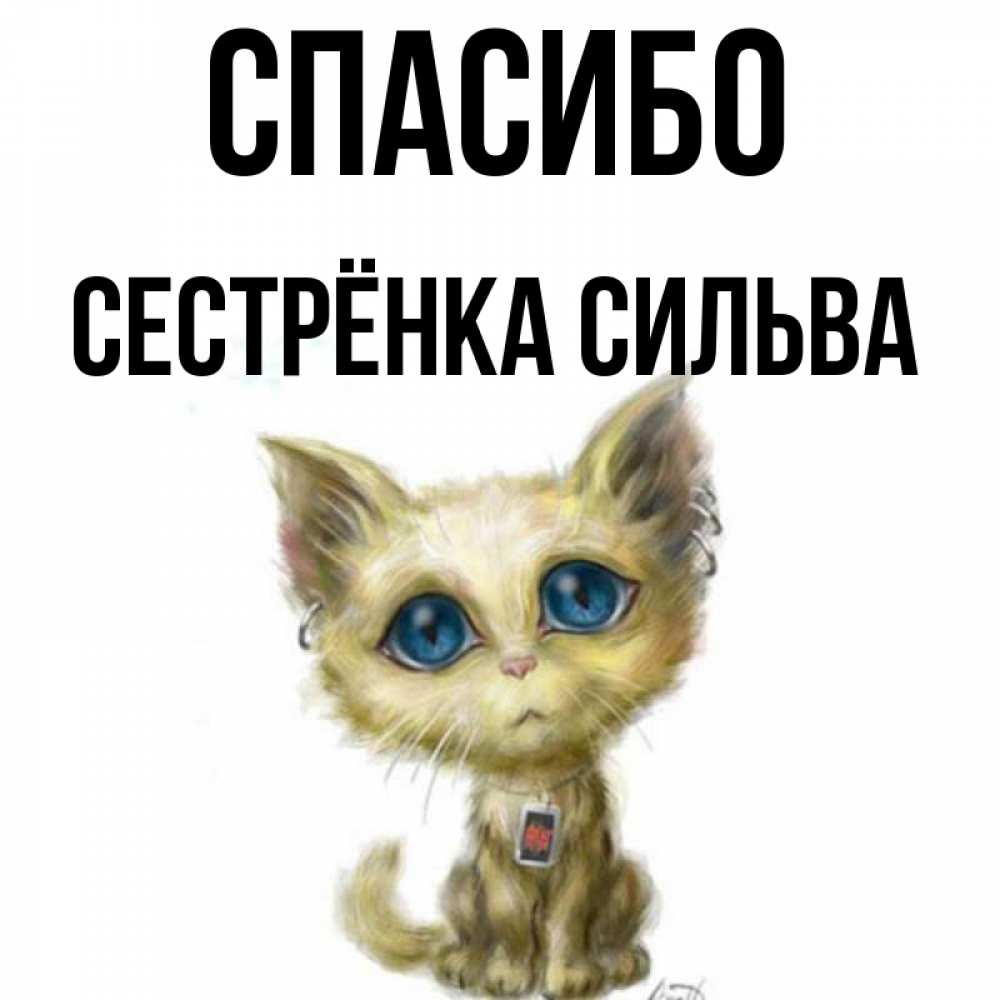 Открытка на каждый день с именем, Сестрёнка-Сильва Спасибо рисованный кот благодарит вас Прикольная открытка с пожеланием онлайн скачать бесплатно 