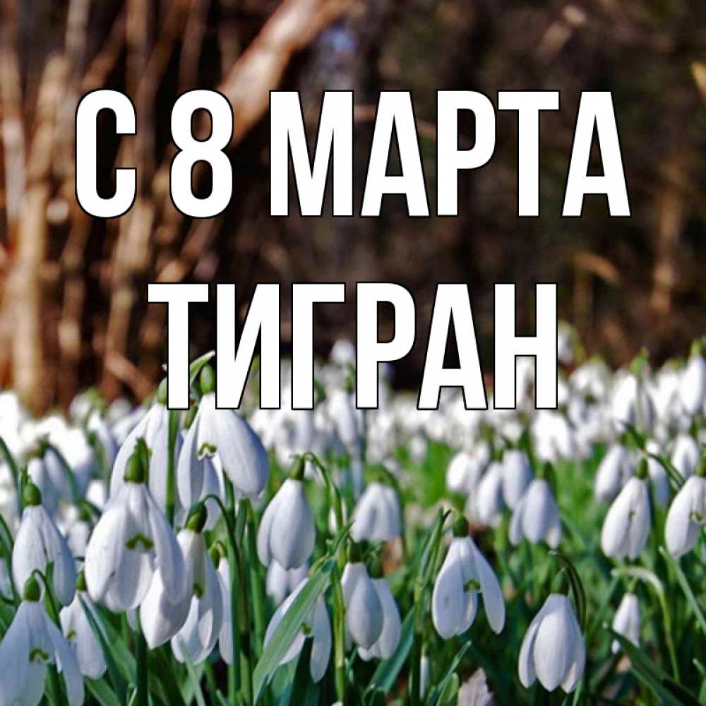 Открытка на каждый день с именем, Тигран С 8 МАРТА с подснежниками 1 Прикольная открытка с пожеланием онлайн скачать бесплатно 