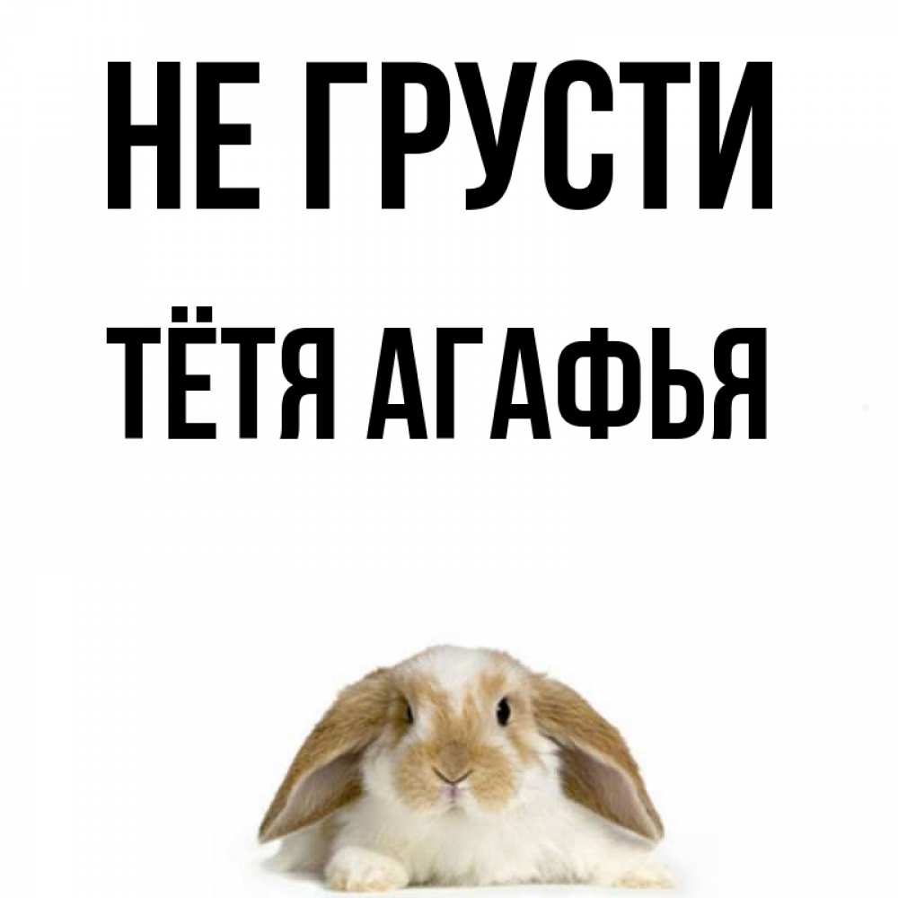 Открытка на каждый день с именем, Тётя-Агафья Не грусти коричнево белый заяц с большими ушками Прикольная открытка с пожеланием онлайн скачать бесплатно 