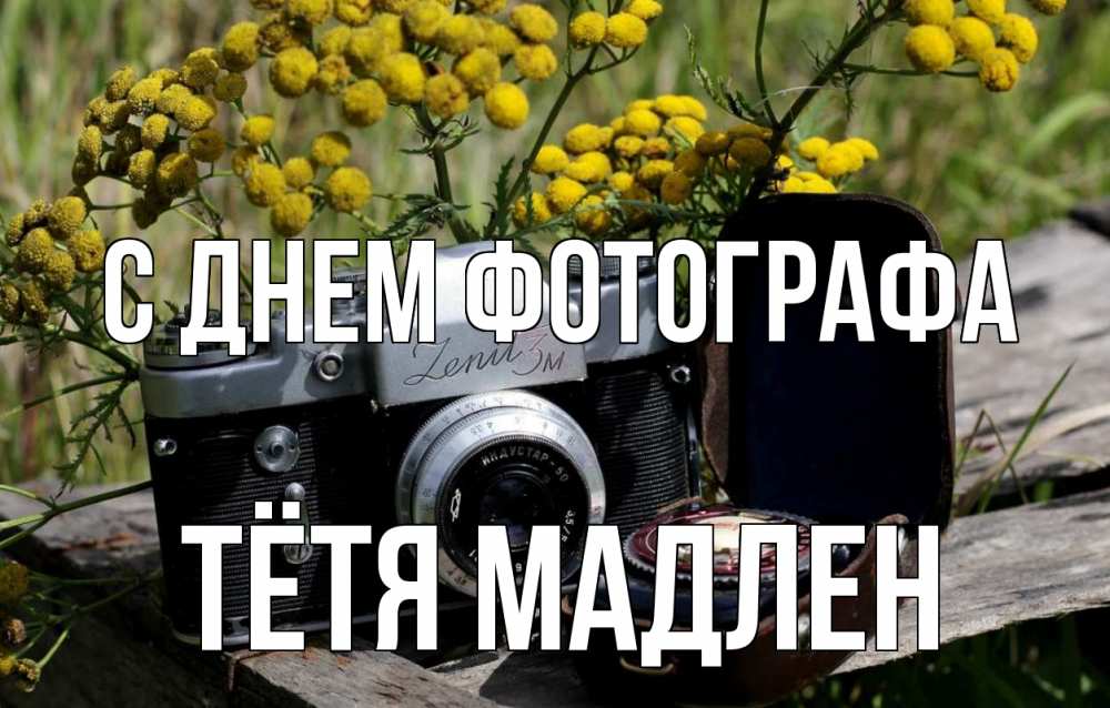 Открытка на каждый день с именем, Тётя-Мадлен С днем фотографа с днем фотографа Прикольная открытка с пожеланием онлайн скачать бесплатно 