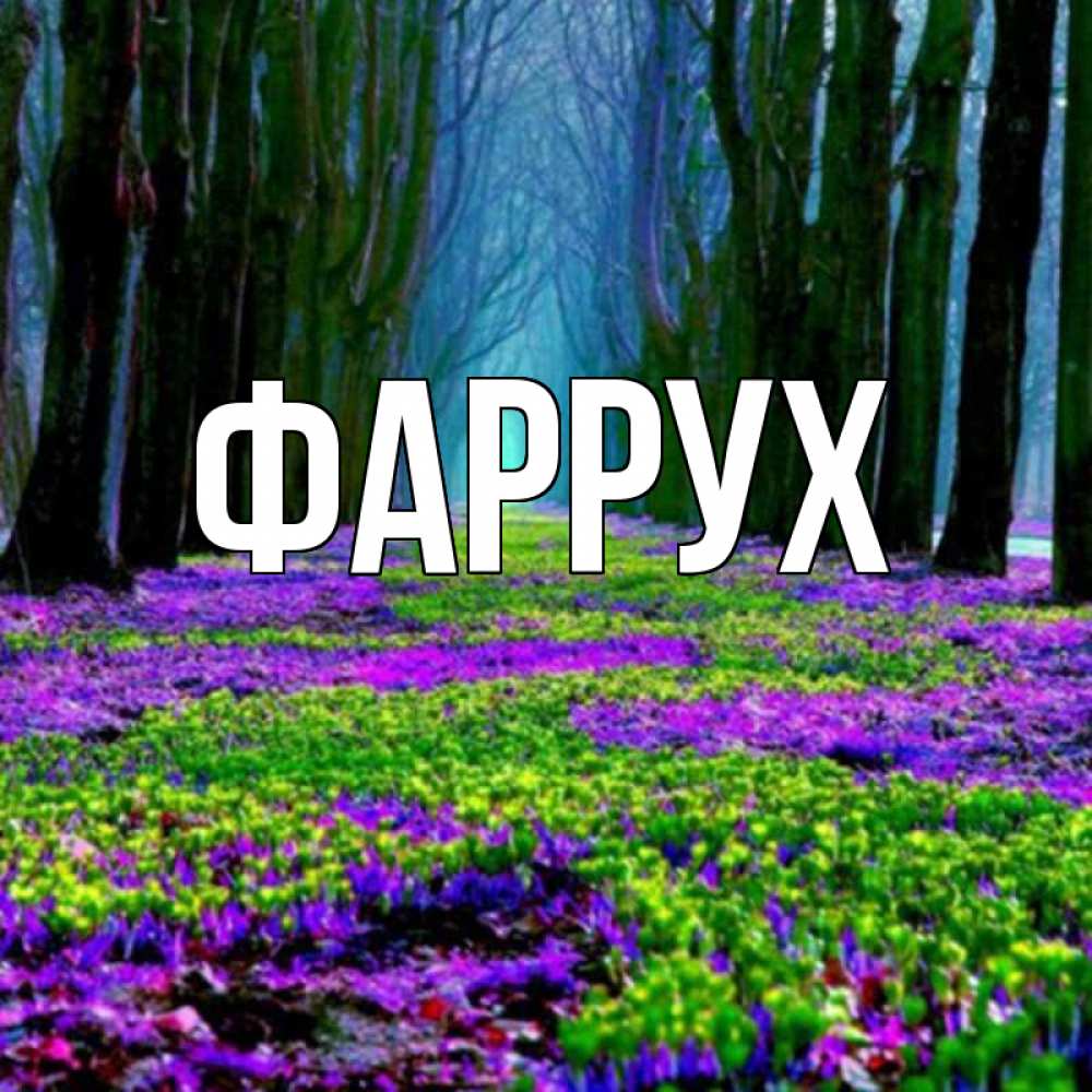 Открытка на каждый день с именем, Фаррух Главная фиолетовые цветы в лесу 1 Прикольная открытка с пожеланием онлайн скачать бесплатно 