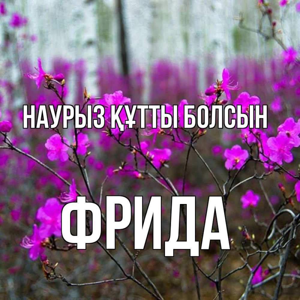 Открытка на каждый день с именем, Фрида Наурыз құтты болсын дикие цветы Прикольная открытка с пожеланием онлайн скачать бесплатно 