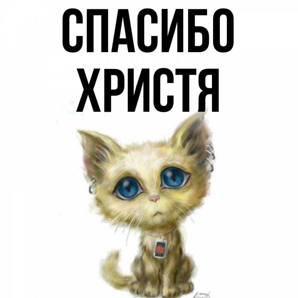 Открытка на каждый день с именем, Христя Спасибо рисованный кот благодарит вас Прикольная открытка с пожеланием онлайн скачать бесплатно 