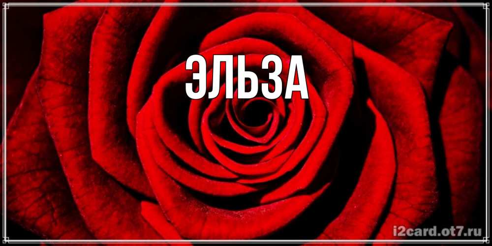 Открытка на каждый день с именем, Эльза Главная алая роза Прикольная открытка с пожеланием онлайн скачать бесплатно 