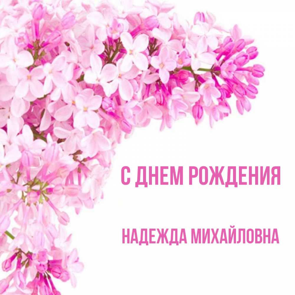 Picture background