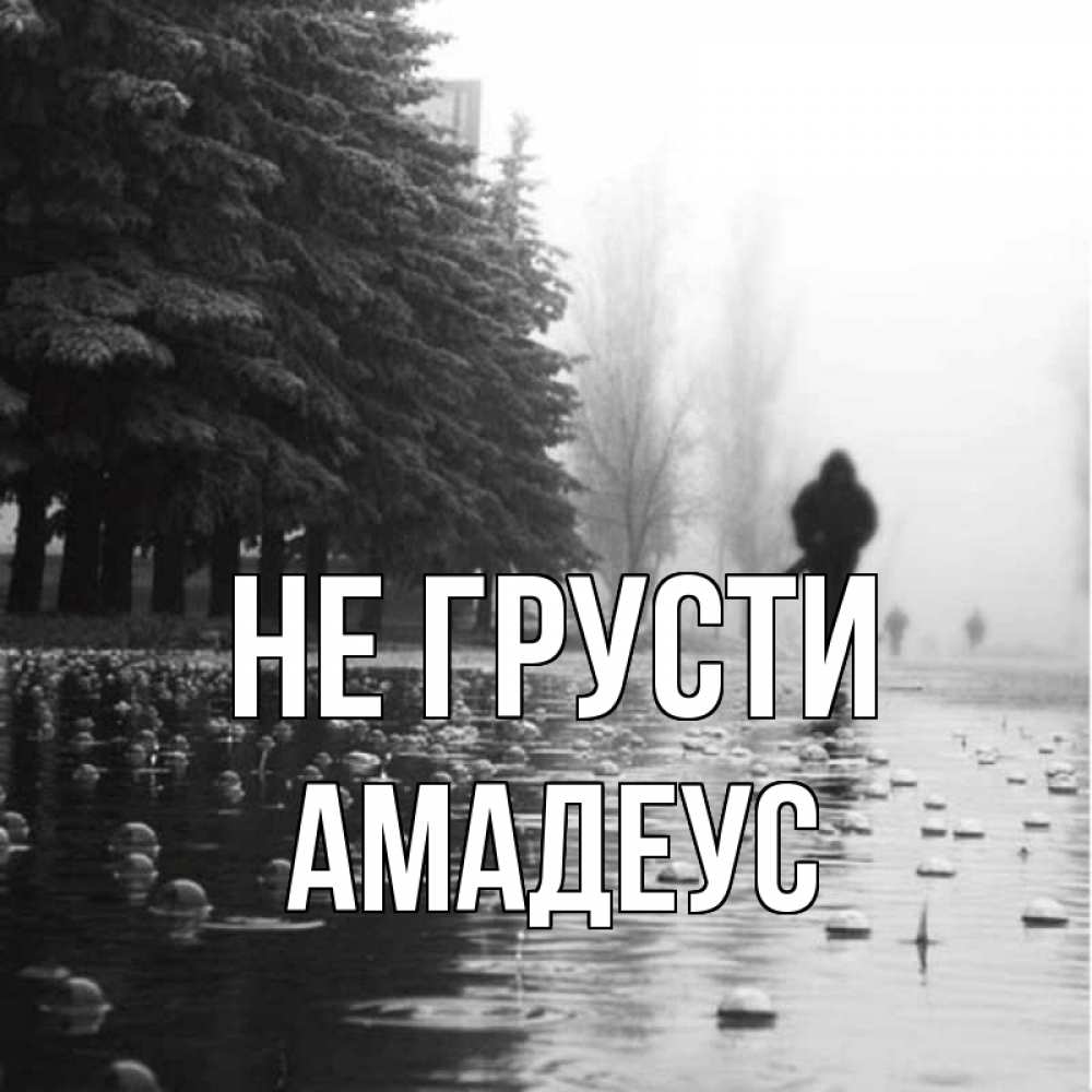 Открытка на каждый день с именем, Амадеус Не грусти улица под дождем Прикольная открытка с пожеланием онлайн скачать бесплатно 