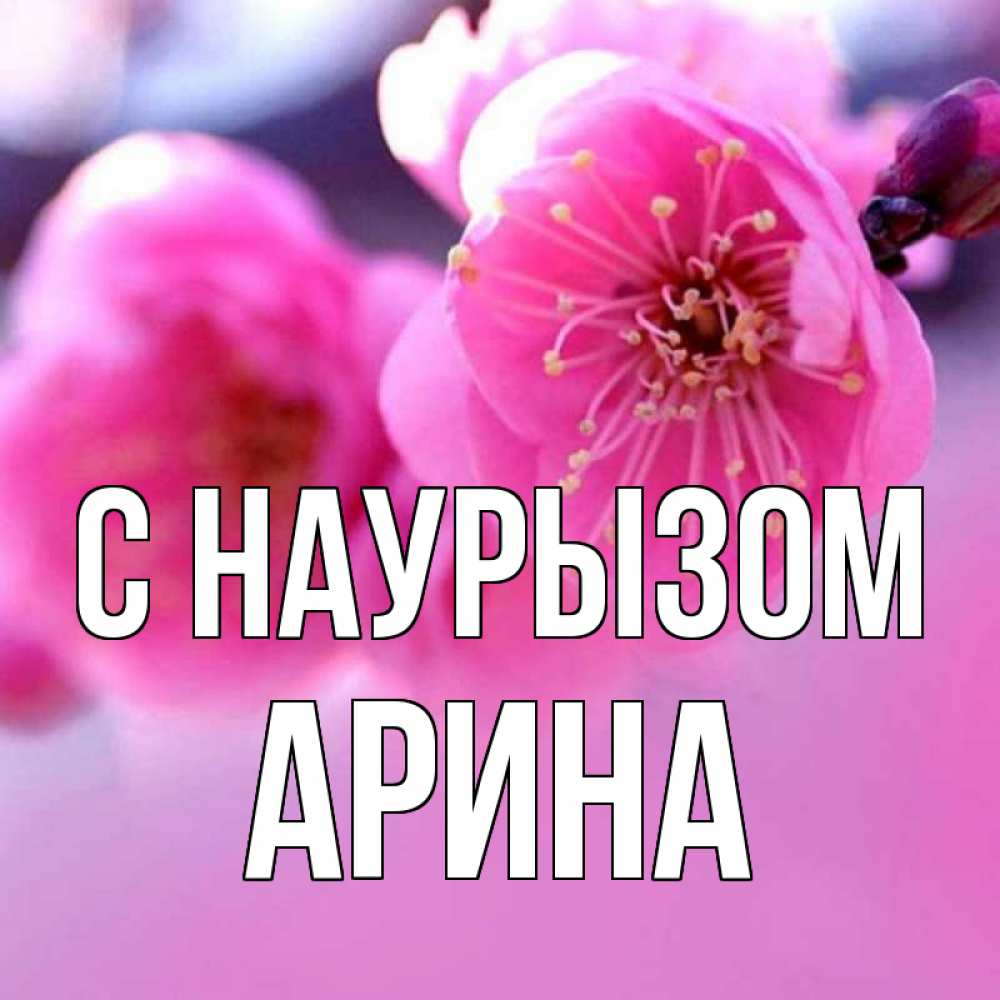 Открытка на каждый день с именем, Арина С наурызом международный женский день Прикольная открытка с пожеланием онлайн скачать бесплатно 