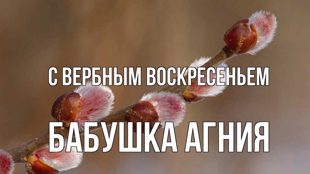 Открытка на каждый день с именем, Бабушка-Агния С вербным воскресеньем верба Прикольная открытка с пожеланием онлайн скачать бесплатно 