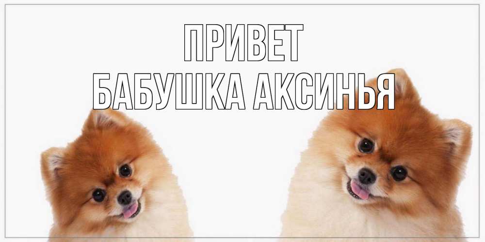Открытка на каждый день с именем, Бабушка-Аксинья Привет привет Прикольная открытка с пожеланием онлайн скачать бесплатно 