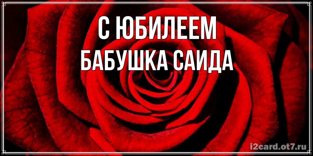 Открытка на каждый день с именем, Бабушка-Саида С юбилеем алая роза Прикольная открытка с пожеланием онлайн скачать бесплатно 