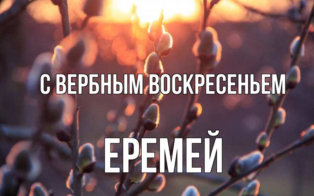 Открытка на каждый день с именем, Еремей С вербным воскресеньем верба Прикольная открытка с пожеланием онлайн скачать бесплатно 