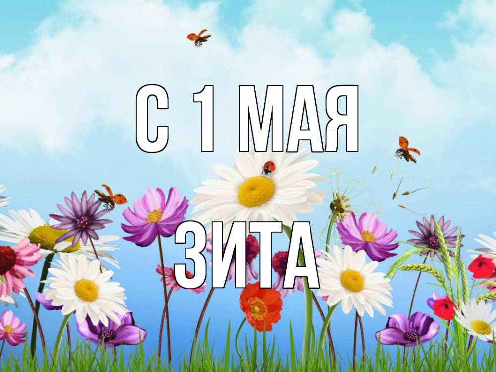 Открытка на каждый день с именем, Зита С 1 мая С 1 мая Прикольная открытка с пожеланием онлайн скачать бесплатно 