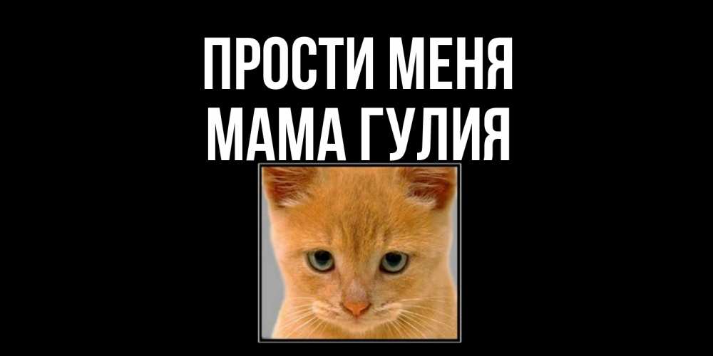 Открытка на каждый день с именем, Мама-Гулия Прости меня рыжий грустный кот просит прощения Прикольная открытка с пожеланием онлайн скачать бесплатно 