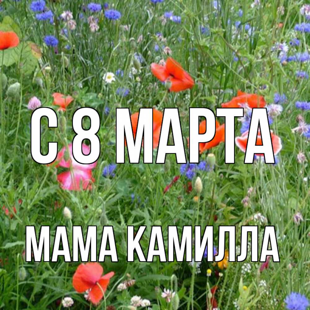 Открытка на каждый день с именем, Мама-Камилла С 8 МАРТА международный женский день 4 Прикольная открытка с пожеланием онлайн скачать бесплатно 