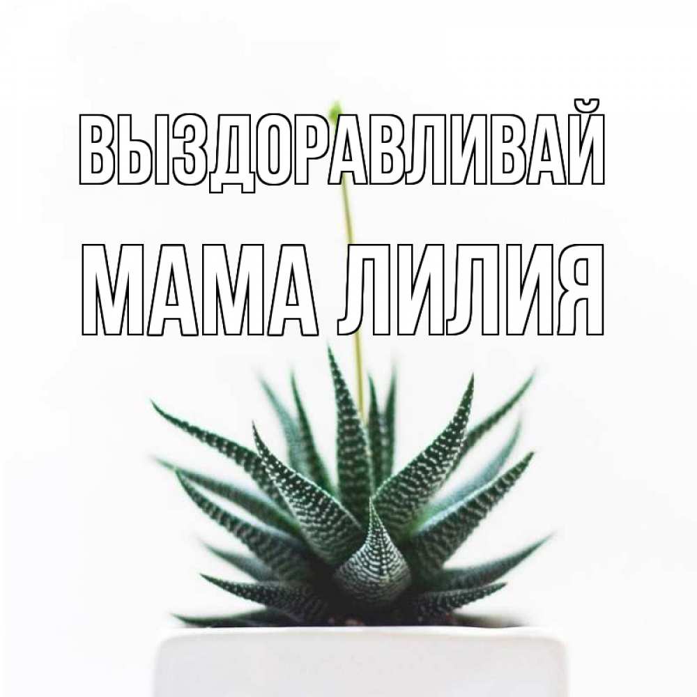 Открытка на каждый день с именем, Мама-Лилия Выздоравливай короче это непонятная колючка Прикольная открытка с пожеланием онлайн скачать бесплатно 
