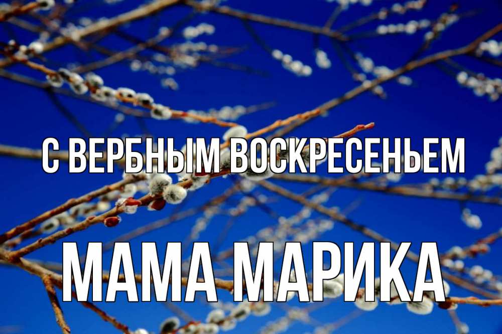 Открытка на каждый день с именем, Мама-Марика С вербным воскресеньем верба Прикольная открытка с пожеланием онлайн скачать бесплатно 
