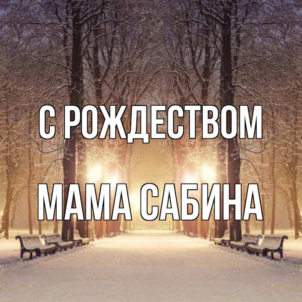 Открытка на каждый день с именем, Мама-Сабина С рождеством зима, парк, фонарь, лес Прикольная открытка с пожеланием онлайн скачать бесплатно 