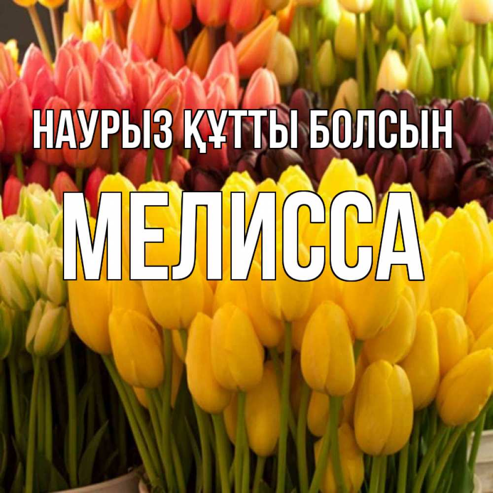 Открытка на каждый день с именем, Мелисса Наурыз құтты болсын цветы Прикольная открытка с пожеланием онлайн скачать бесплатно 
