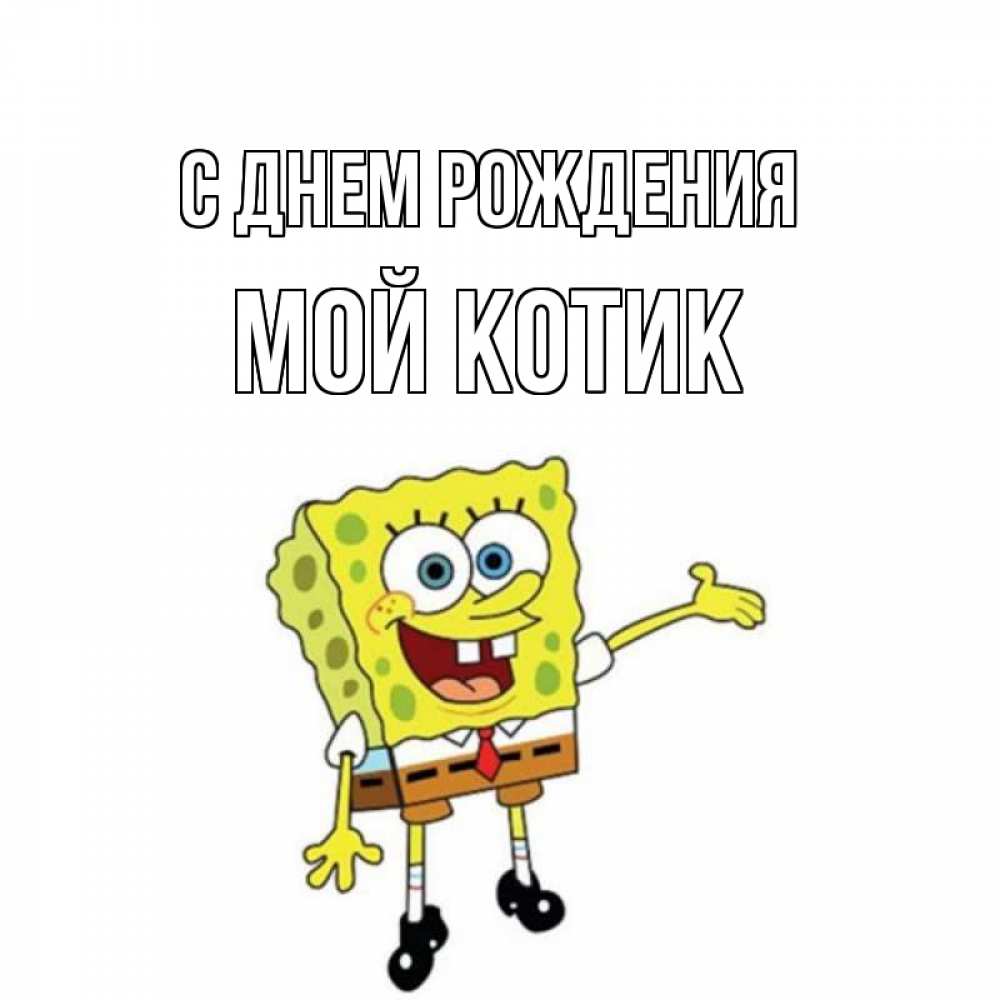 Открытка на каждый день с именем, Мой-Котик С днем рождения веселые Прикольная открытка с пожеланием онлайн скачать бесплатно 
