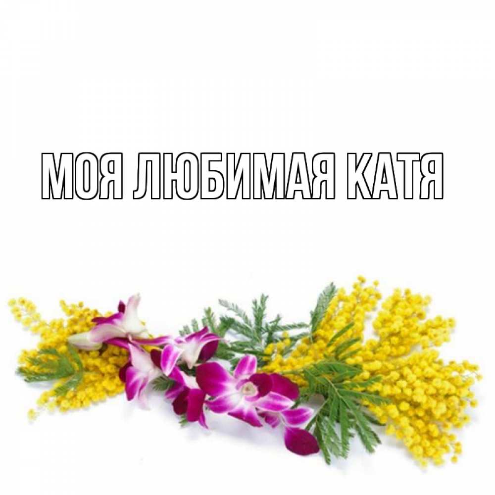 Открытка на каждый день с именем, Моя-любимая-Катя Главная открытка на международный женский день с цветами  1 Прикольная открытка с пожеланием онлайн скачать бесплатно 